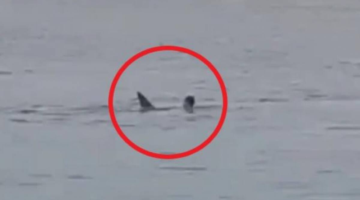 La víctima perdió la vida en el Mar Rojo.