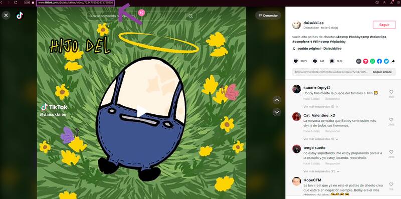 En caso de estar en tu computador, tendrás que copiar el enlace del video. Créditos: Pantallazo TikTok.