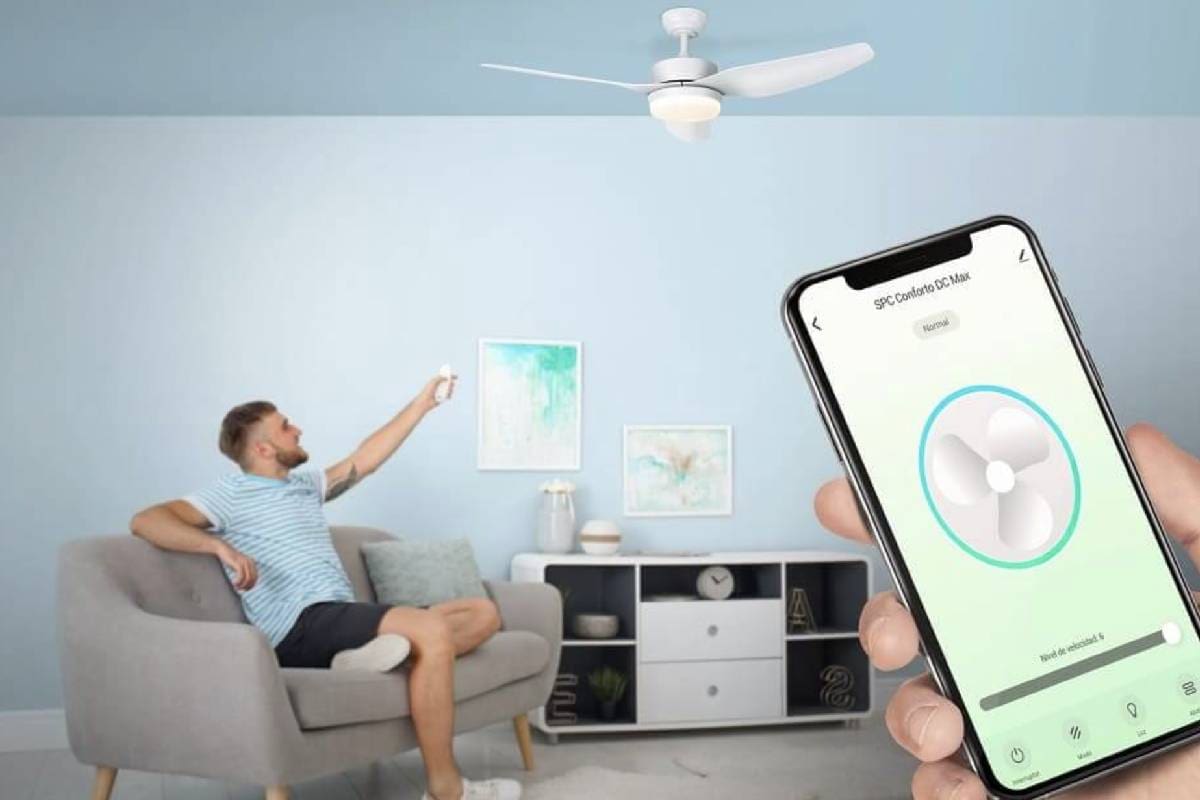 Estas son algunas de las mejores opciones para sobrevivir a la época de calor.