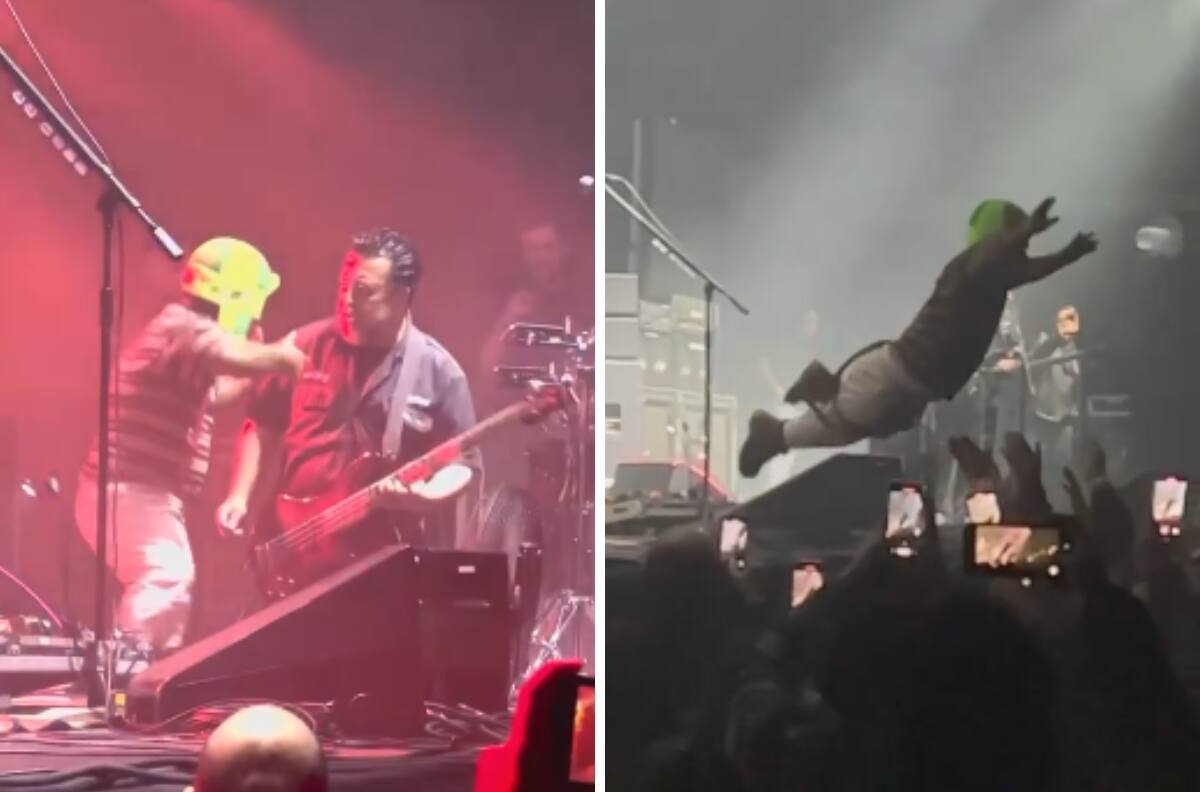 Medio Metro se sube al escenario con Molotov y se hace viral |VIDEO