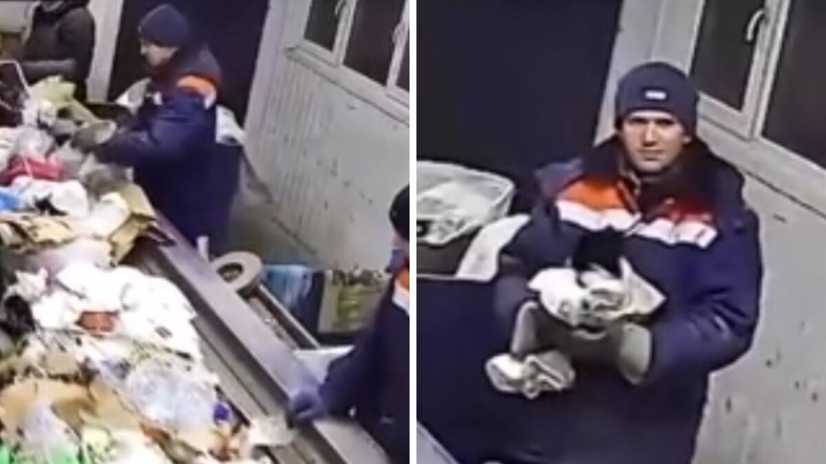 VIDEO| Hombre rescata a gatito que tiraron a la basura y se viraliza