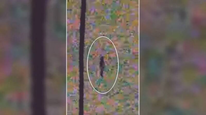 No es la única ocasión en que se ha visto una figura.