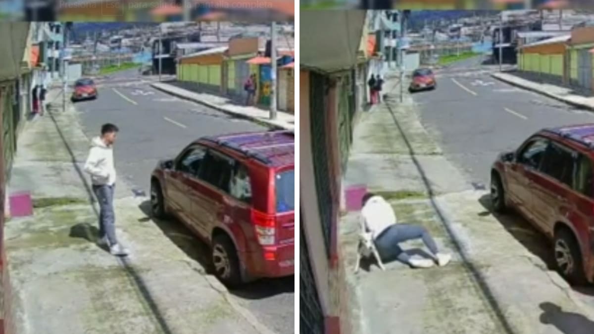 VIDEO| Hombre atrapa a perrito que se acaba de escapar, recibe un gran golpe y se hace viral