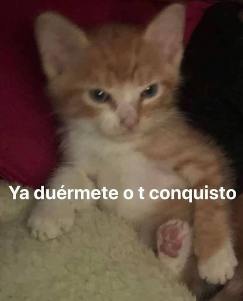 Un coqueteo también es una buena forma de decir buenas noches por WhatsApp. Créditos: Pinterest.