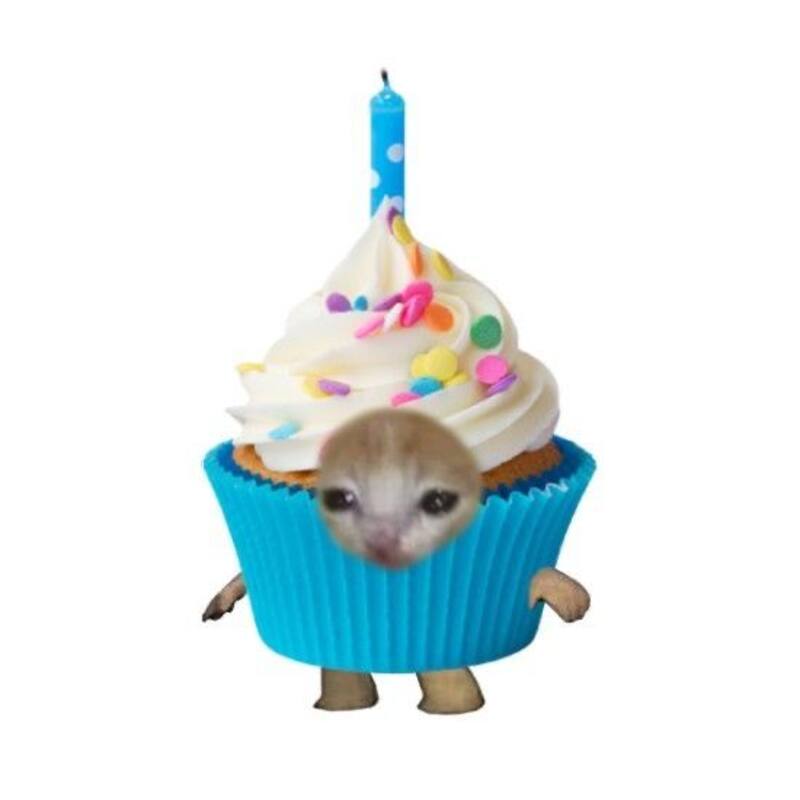 La imágenes divertidas también son una buena forma de decir feliz cumpleaños por WhatsApp.