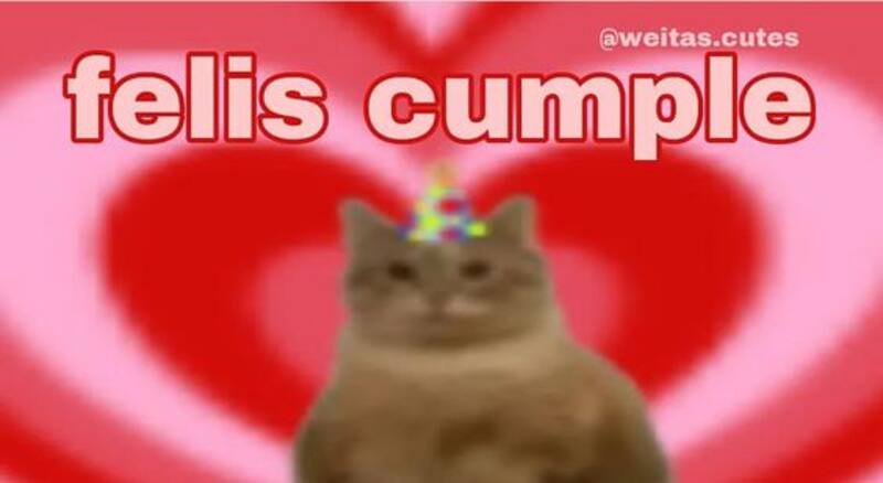 ¡Un poco de diversión también es una buena forma de desear feliz cumpleaños por WhatsApp!