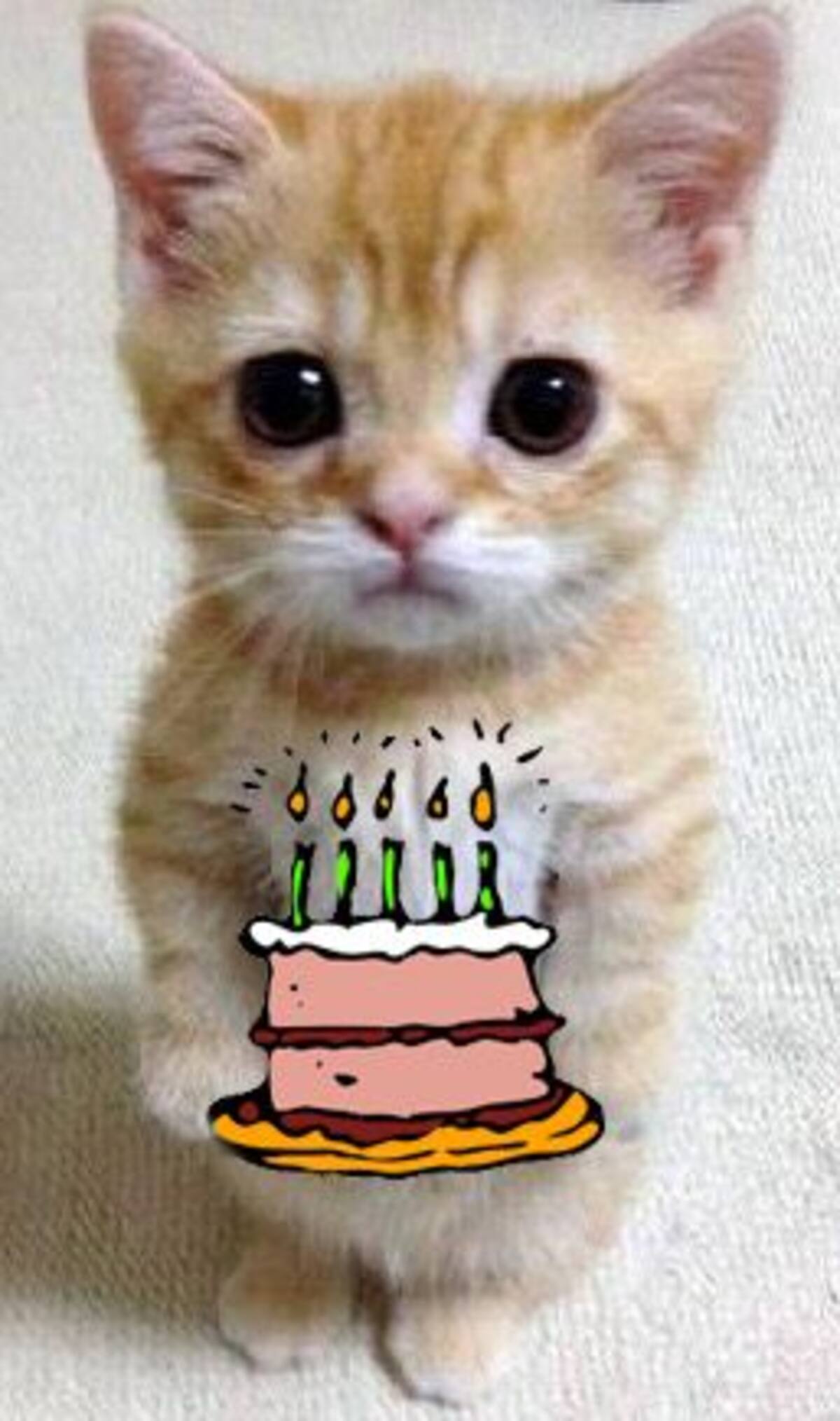 ¡Desea un feliz cumpleaños por WhatsApp!