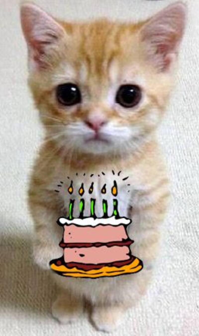 ¡Desea un feliz cumpleaños por WhatsApp!