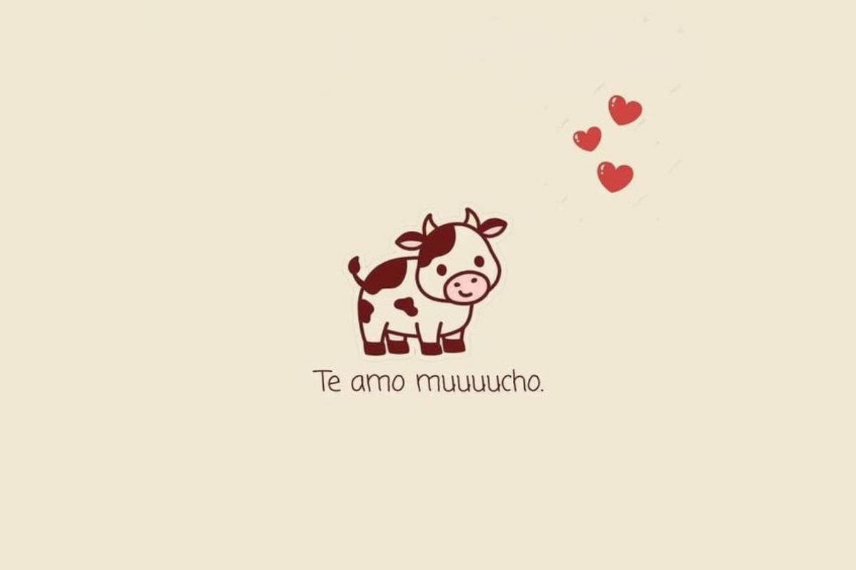 Revisa las más de 50 fotos de amor que puedes enviarle a tus contactos.