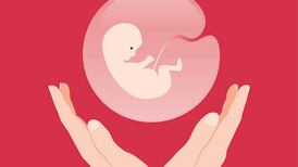 Maternidad: ¿Comerse la placenta es realmente bueno?