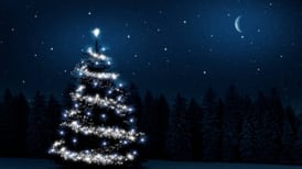 Astrología: Decora tu árbol de Navidad según tu signo zodiacal