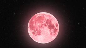 Luna rosa 2023: ¿Cuándo y dónde verla en México?