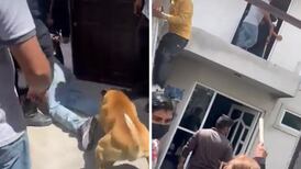 VIDEO| Perrito ayuda al linchamiento de un ladrón y se hace viral